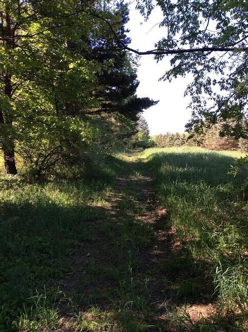 9198 W Grant St, Beaver Township, MI 49309 - photo 6