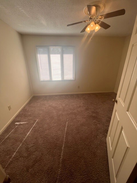 200 Woody Rd, Pendleton, SC 29670 - photo 4