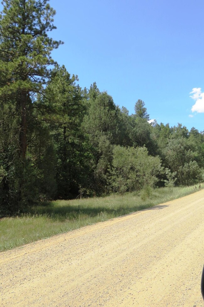 33260 Turkey Creek Ln unit Parcel B50, Trinidad, CO 81082 - photo 7