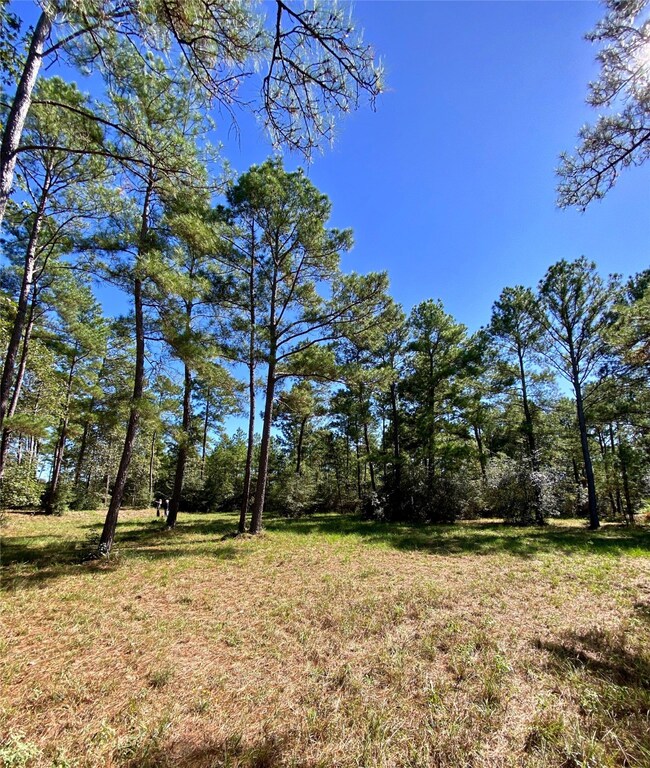 000 Tudor Way, Magnolia, TX 77355 - photo 3