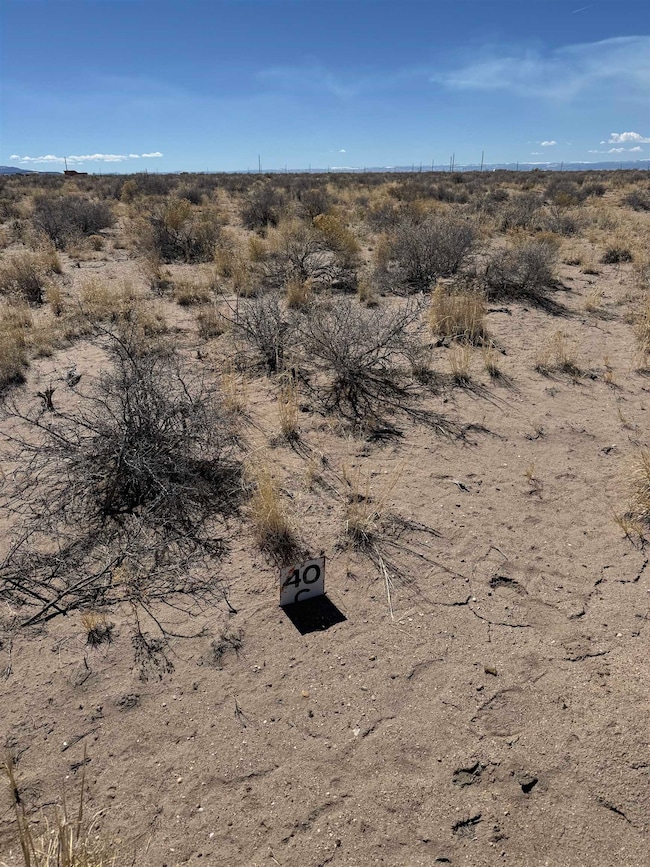 TBD Antelope Ln, Alamosa, CO 81101 - photo 2