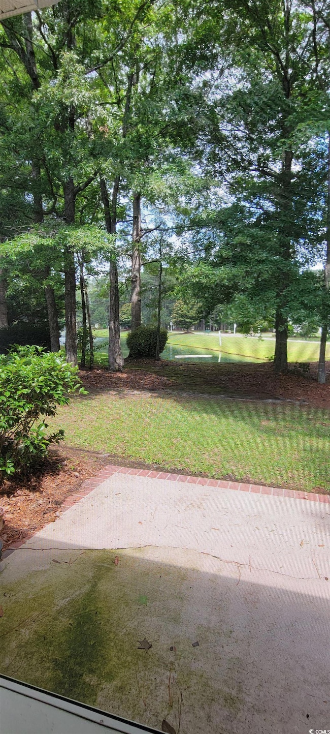 View of yard featuring view of Water and trees