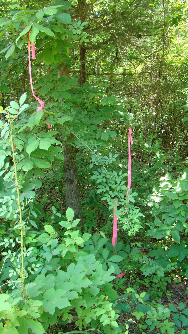 DSC05206