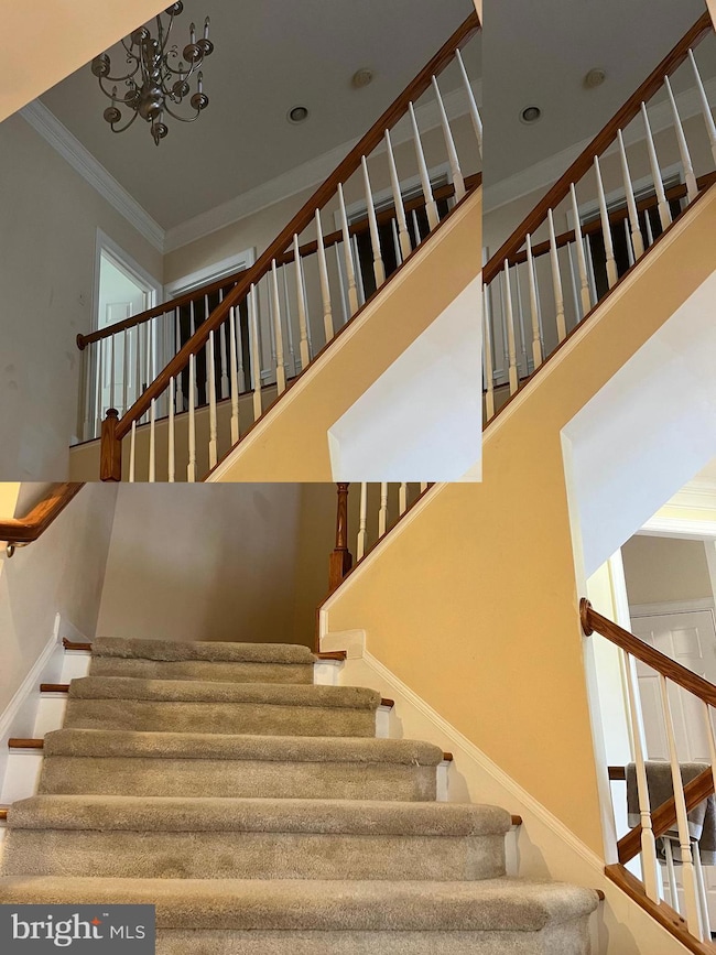 2315 Barnstable Dr, Upper Marlboro, MD 20774 - photo 6