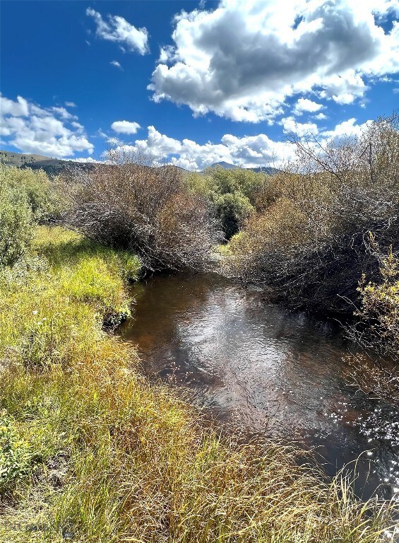 Grasshopper Creek fishing hole
