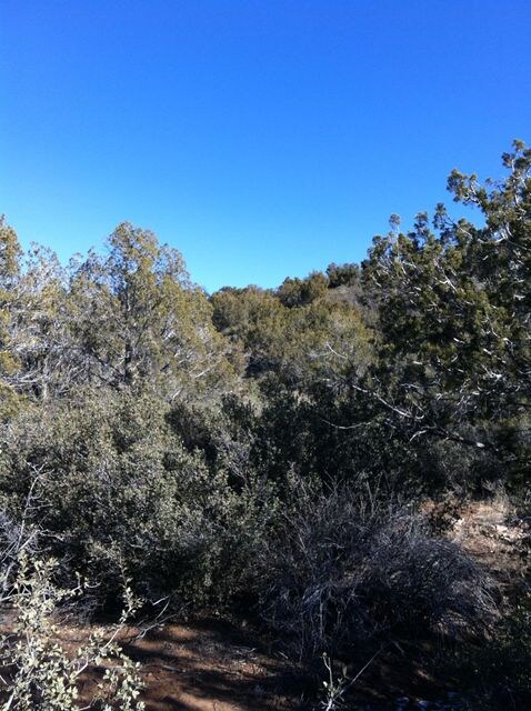 Lot 245 Badger Ridge Rd unit 245, Kingman, AZ 86401 - photo 4