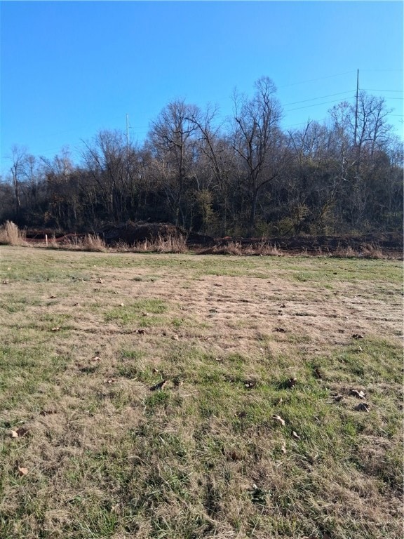 Tract 3 Puppy Creek Rd, Lowell, AR 72745 - photo 4