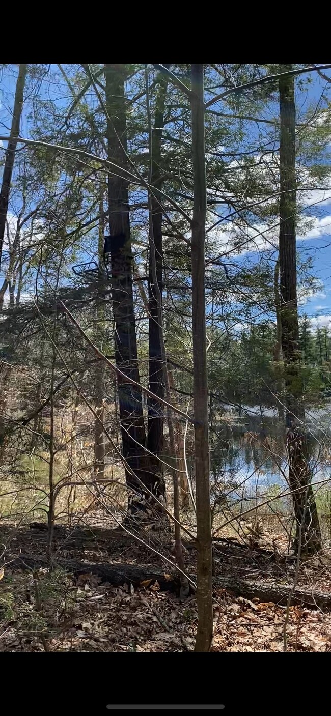 00 Dump Rd unit 20, Chester, NH 03036 - photo 3