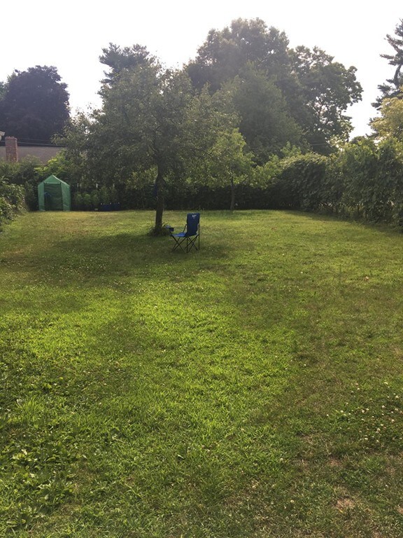 62 Frederic St, Springfield, MA 01119 - photo 5