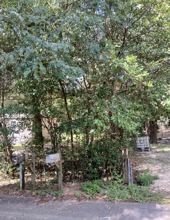 0 Benjamin St, Crestview, FL 32536 - photo 4