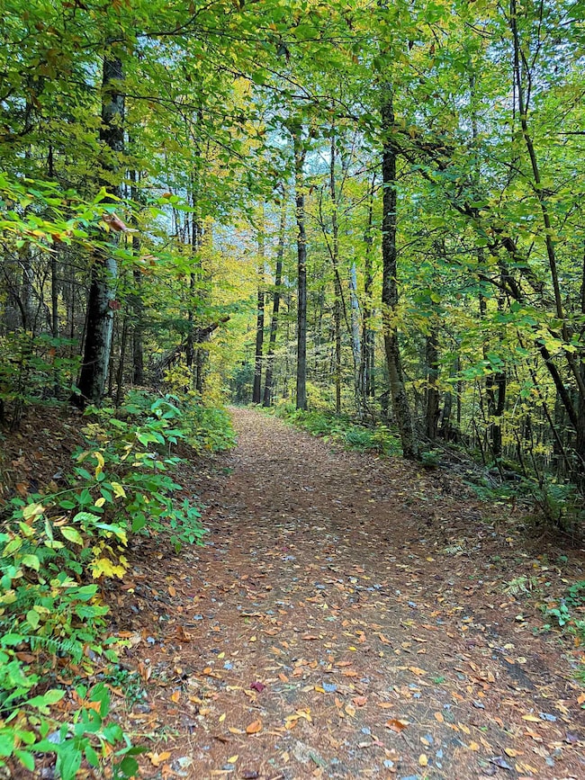 000 Darling Hill Rd, Lyndon, VT 05851 - photo 5