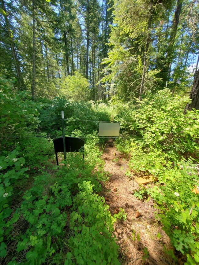 307 Whisper Ridge Dr, Big Fork, MT 59911 - photo 6