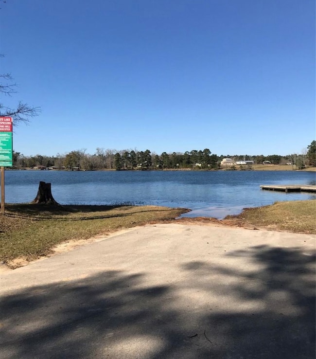 TBD Royal Shores Dr, Conroe, TX 77303 - photo 4