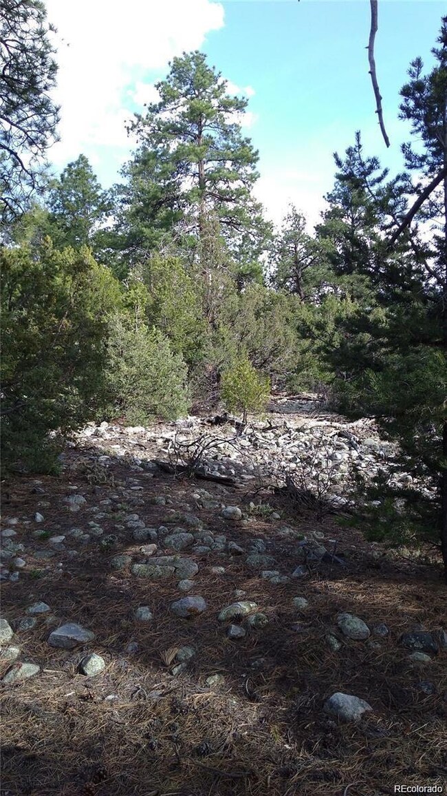 13 Costilla Place unit 12, 13, 14, Mosca, CO 81146 - photo 6