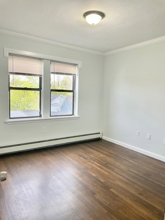 435 Walnut Ave, Roxbury, MA 02119 - photo 7