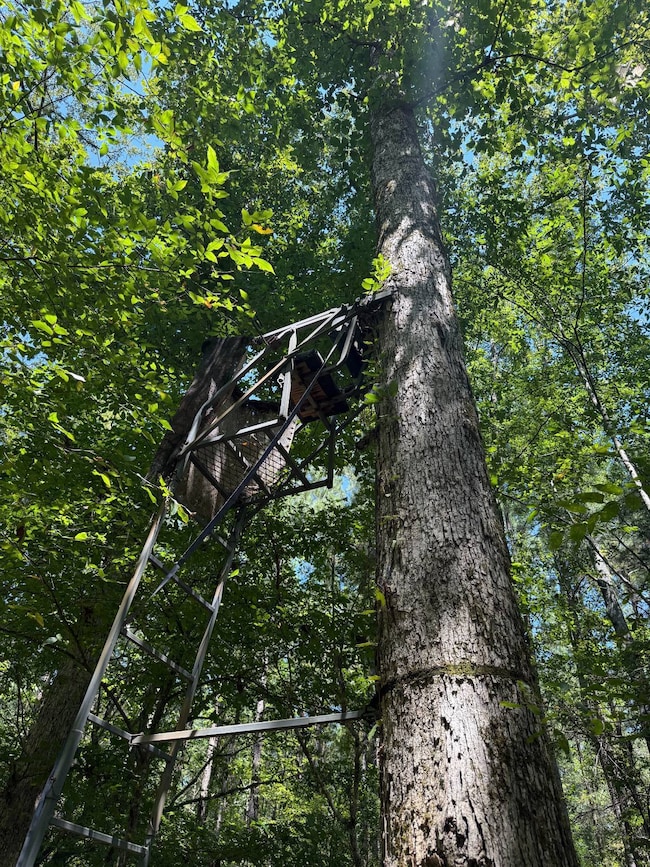 000 Pleasant Ridge Rd, Hickory, MS 39332 - photo 7