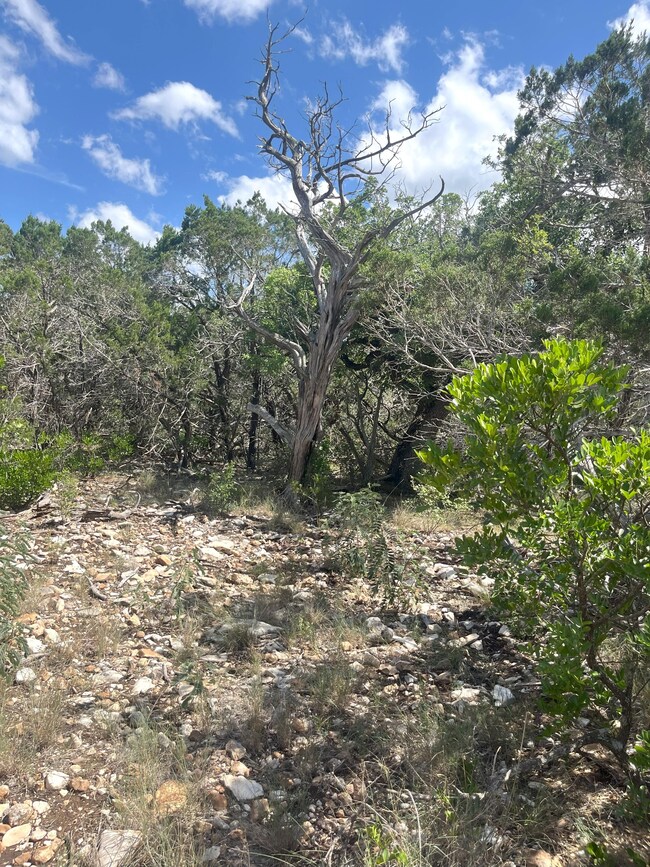 854 Pole Crave Creek Rd, Leakey, TX 78873 - photo 6