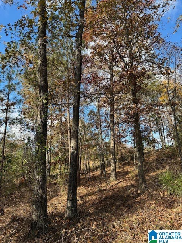 113 Crest Dr, Chelsea, AL 35043 - photo 4