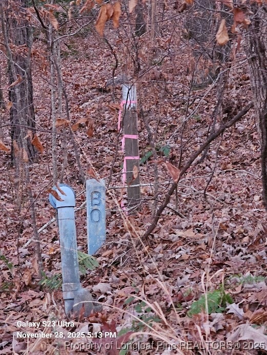 0 Natchez Trace unit 754229, Buckhorn, NC 27526 - photo 3