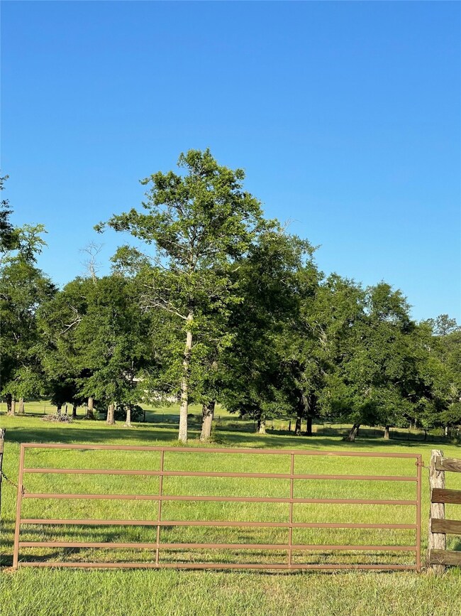 37031 Red Rock, Magnolia, TX 77355 - photo 2