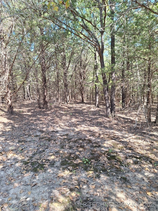 6611 County Road 3665, Allen, OK 74825 - photo 7