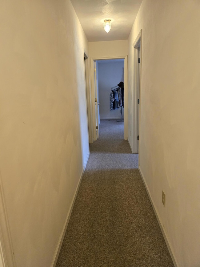 1297 Flowing Spring Rd, Buchanan, VA 24066 - photo 7