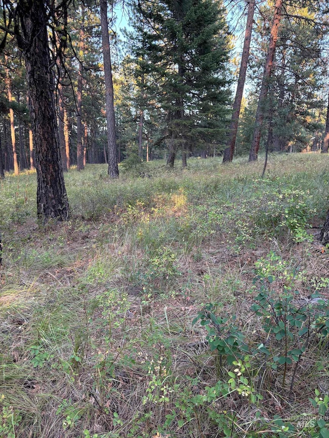 TBD, Asotin, WA 99402 - photo 6