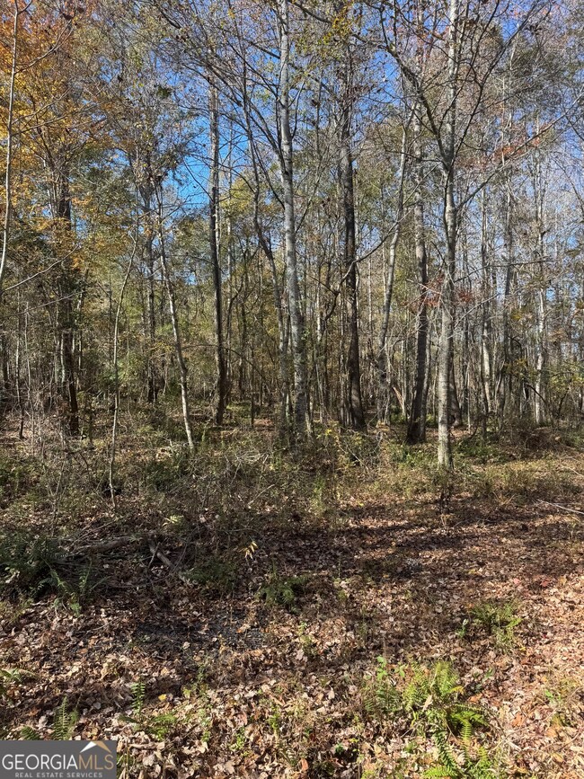 4523 Georgia 18, West Point, GA 31833 - photo 4