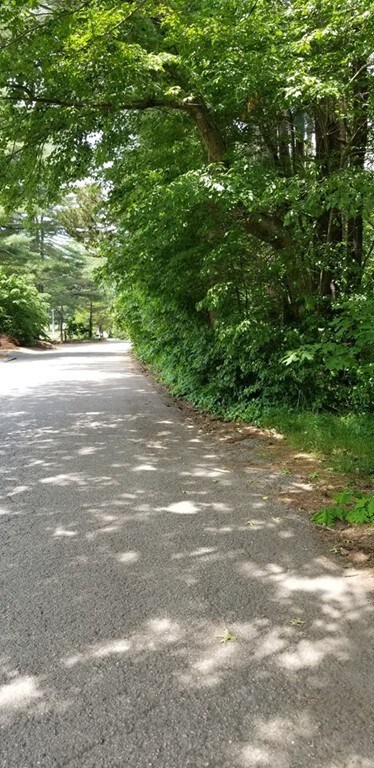 0 Alma Rd unit 72513381, Millis, MA 02054 - photo 6