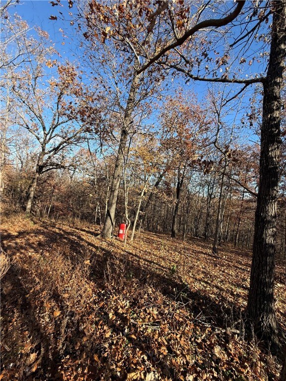 15 Halford Ln, Bella Vista, AR 72715 - photo 5