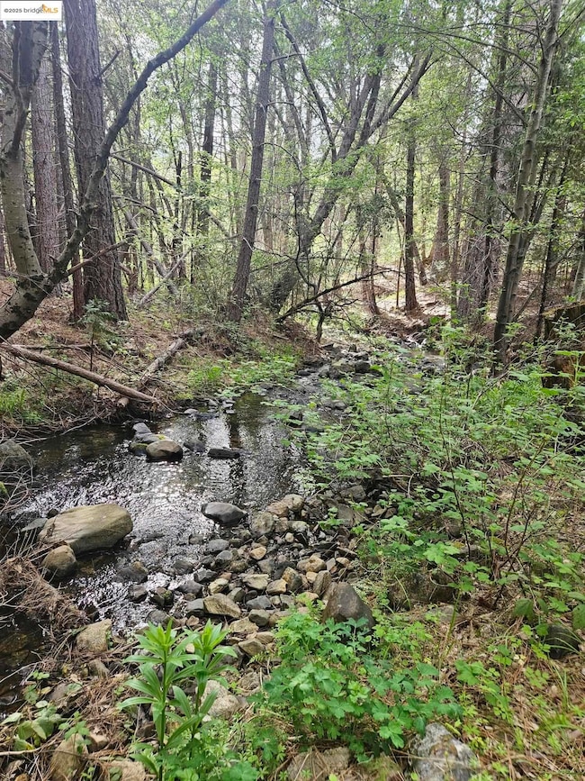 00 Italian Bar Rd, Twain Harte, CA 95383 - photo 2