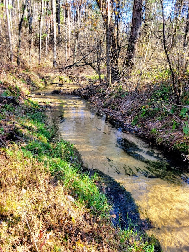 0 Clark Rd, Black River Falls, WI 54615 - photo 3