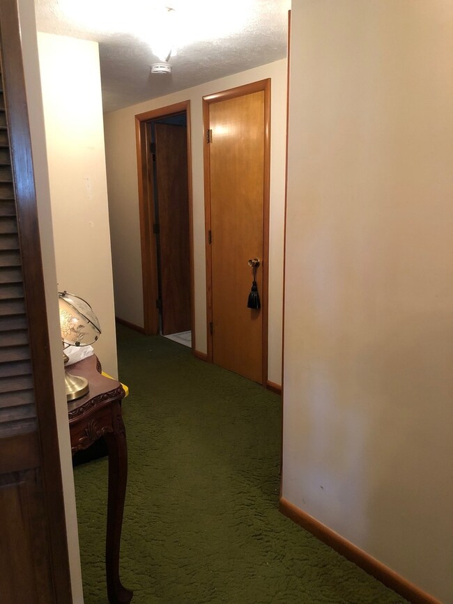 1003 Warren St, Chenoa, IL 61726 - photo 2