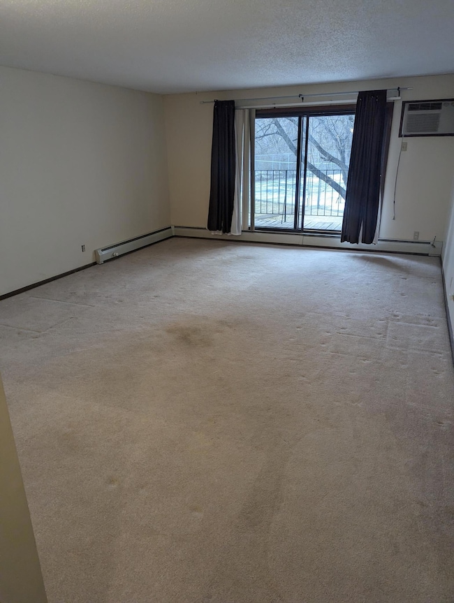 10451 Greenbrier Rd unit 115, Hopkins, MN 55305 - photo 5