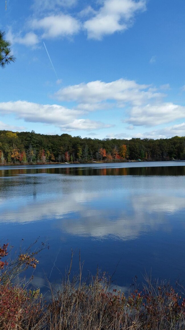0 W Bass Lake Dr, Bitely, MI 49309 - photo 2