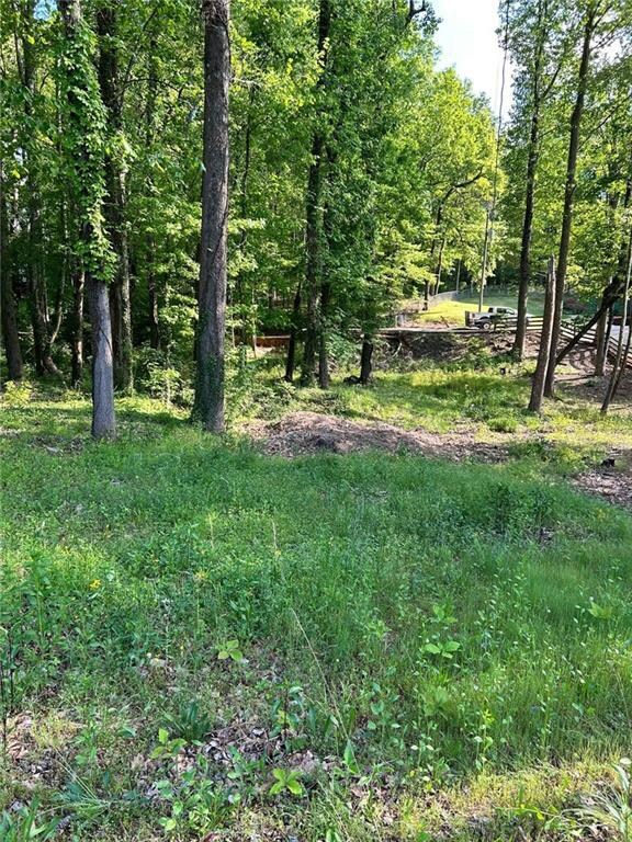 5211 Union Hill Rd, Alpharetta, GA 30004 - photo 3