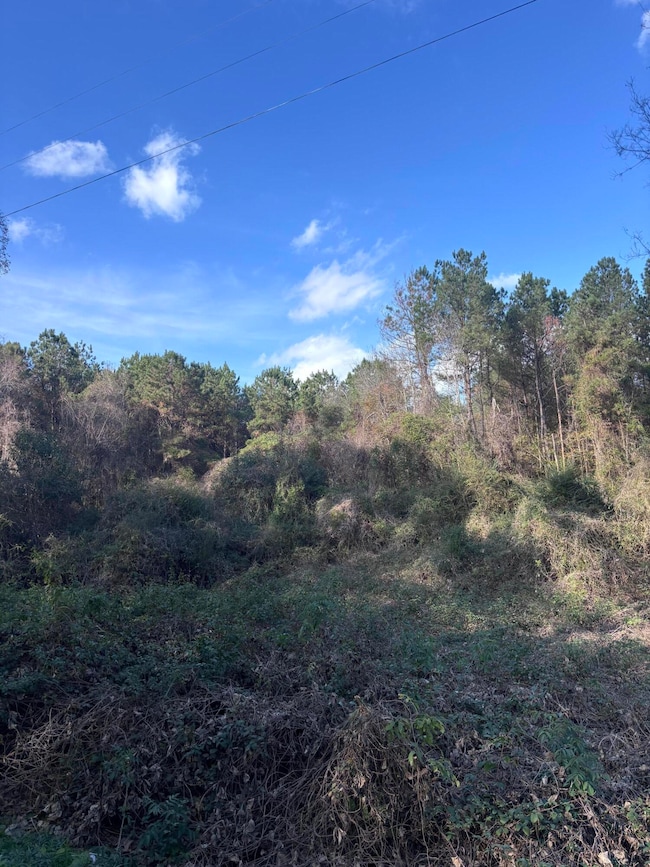 00 Jones Rd, Foxworth, MS 39483 - photo 5