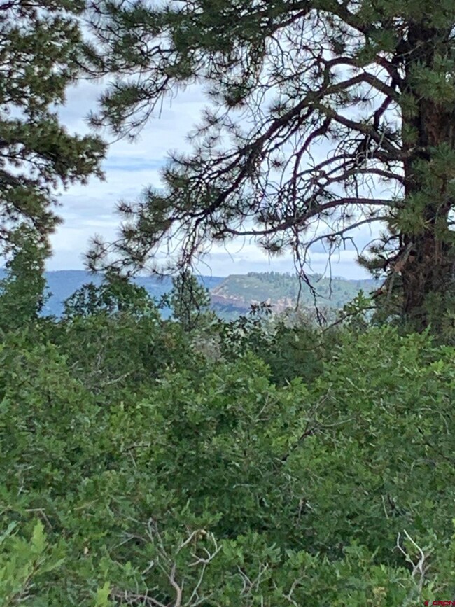 13450 U S 160, Durango, CO 81301 - photo 7