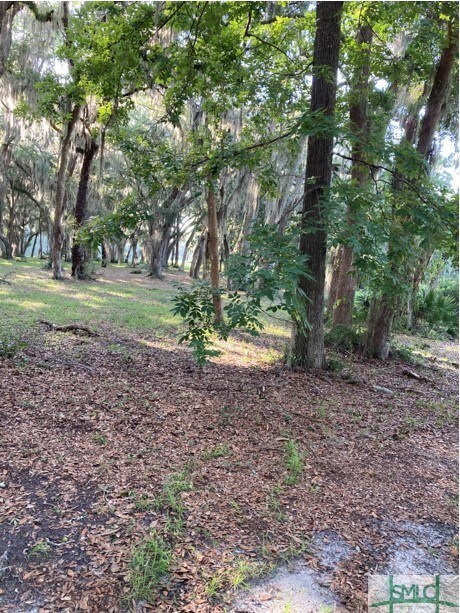 0 Sutherland Bluff Dr NE unit 273499, Shellman Bluff, GA 31331 - photo 5