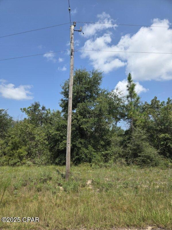 00 Flagler Dr, Chipley, FL 32428 - photo 7