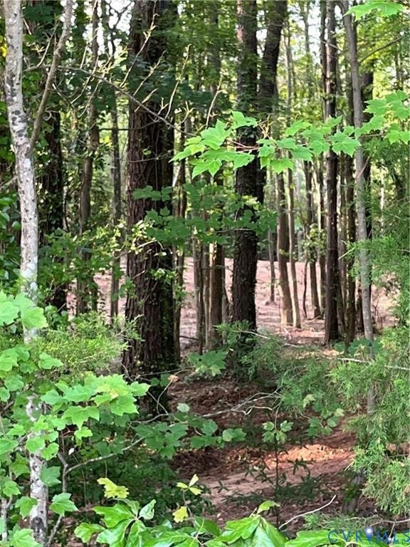 0 Islington Rd unit 2532015, Richmond County, VA 22572 - photo 2