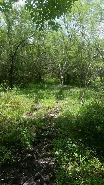 000 Spell Rd, Needville, TX 77461 - photo 7