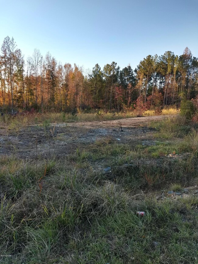 IMG_20191110_171411106_HDR