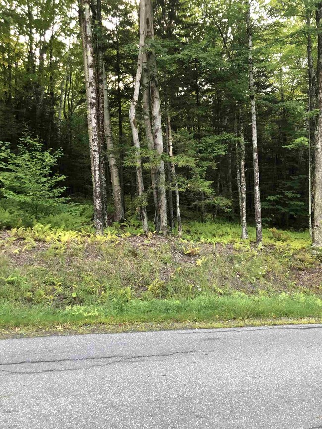 lot#5 Branch Hill Rd unit Lot 5, Readsboro, VT 05350 - photo 5
