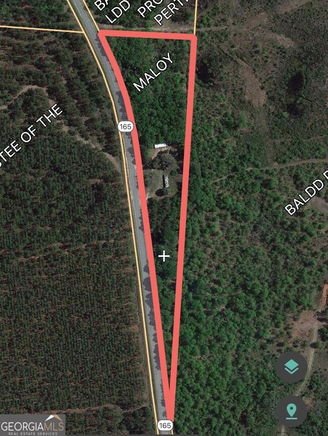 847 Edison Ray Rd, Rhine, GA 31077 - photo 3