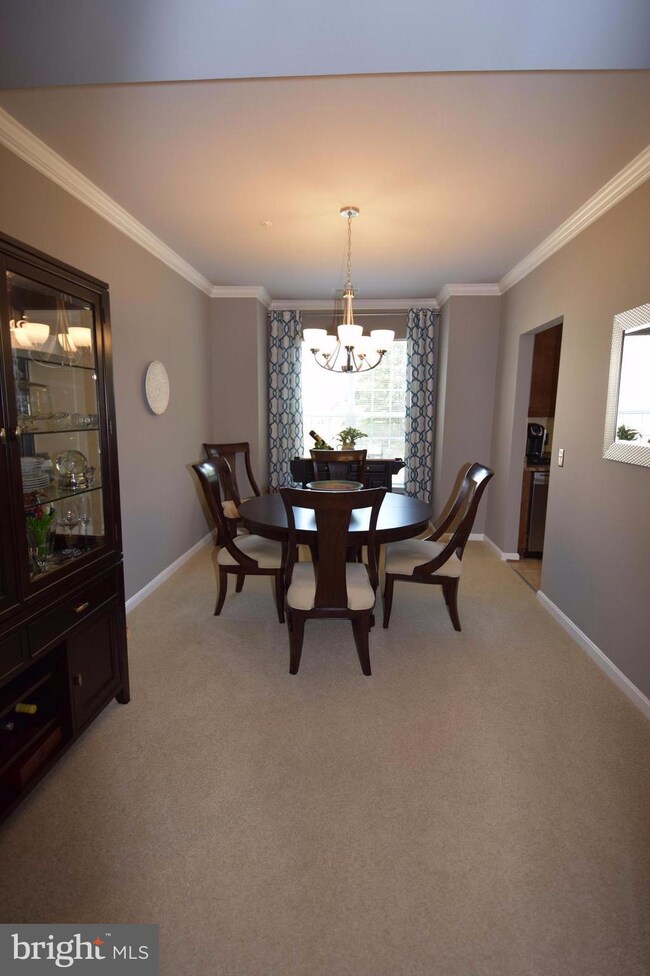 8611 Wintergreen Ct unit 206, Odenton, MD 21113 - photo 6