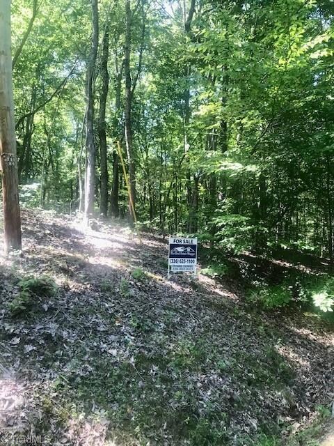 00 Hannah Dr, Asheboro, NC 27205 - photo 6