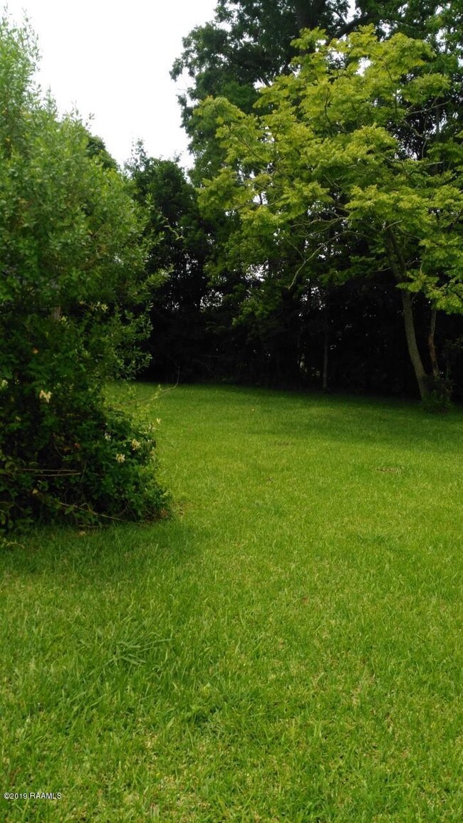 thumbnail_IMG_20190519_133630