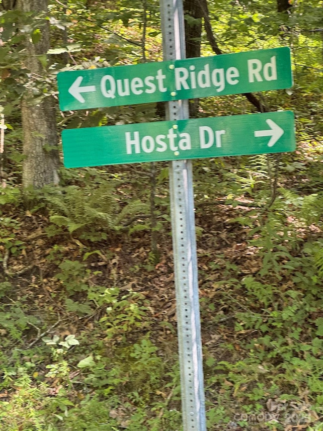 97 Hosta Dr, Sylva, NC 28779 - photo 6