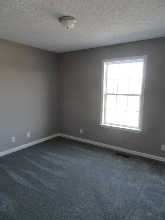 117 Tanner Cir, Shelbyville, TN 37160 - photo 4